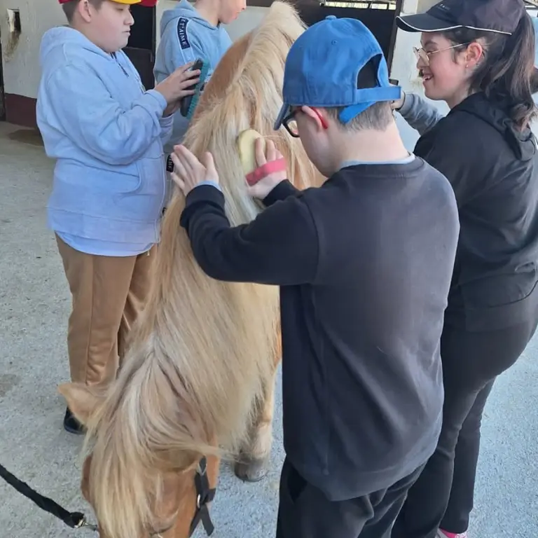 A través del Programa Más Equidad el alumnado de Aula Específica y de PeFPB SA ha recibido dos sesiones de equinoterapia.