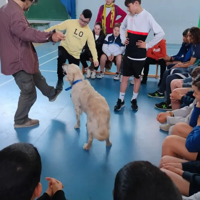 visita de Rafael Fuentes, terapeuta ocupacional, acompañado de Canela, su perra de terapia.
