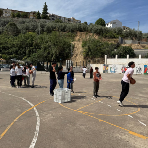 PRUEBA ENCESTAR A CANASTA