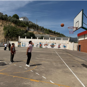 PRUEBA ENCESTAR A CANASTA